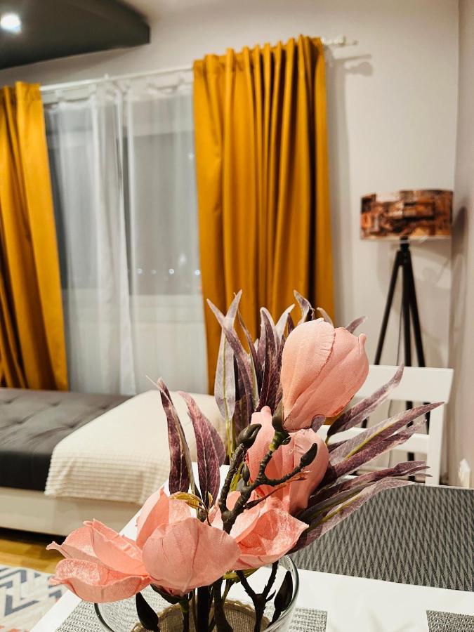 Confort View Apartment Iasi - 3 Rooms-Like Home ภายนอก รูปภาพ